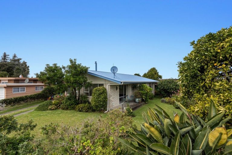 Photo of property in 167 College Road, Edgecumbe, 3120