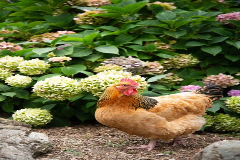 Photo of property in 76 Sunderland Street, Clyde, 9330