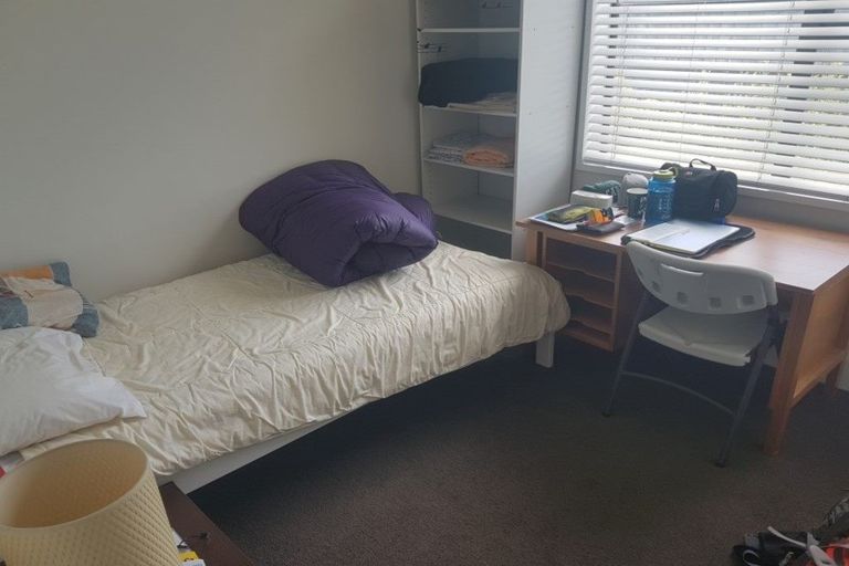 Photo of property in 17 Goldsmith Place, Waltham, Christchurch, 8023