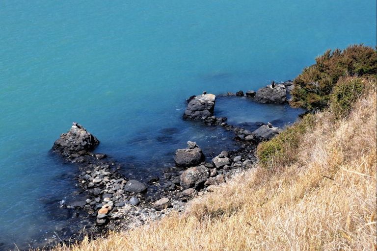 Photo of property in 211 Wharf Road, Port Levy, Diamond Harbour, 8972
