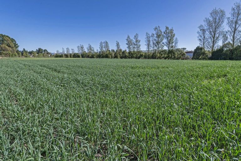 Photo of property in 1436 Saunders Road, Hororata, Darfield, 7572