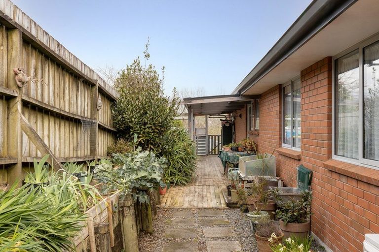 Photo of property in 5 Olive Close, Omokoroa, 3114