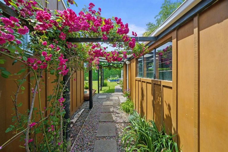 Photo of property in 170 Tiro Tiro Road, Levin, 5510