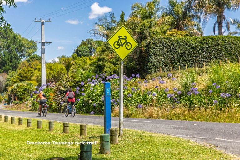 Photo of property in 272b Plummers Point Road, Whakamarama, Tauranga, 3172