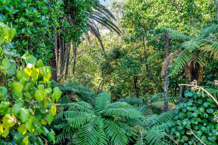 Photo of property in 3 Tukapa Street, Westown, New Plymouth, 4310