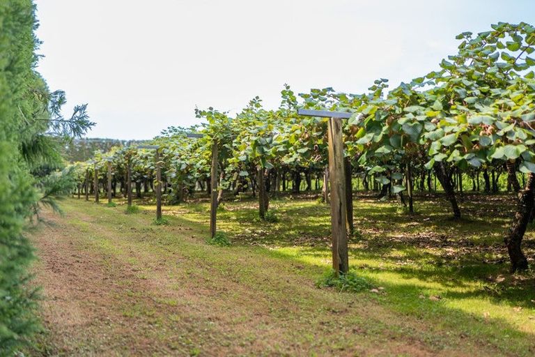 Photo of property in 116 Tuapiro Road, Tahawai, Katikati, 3170