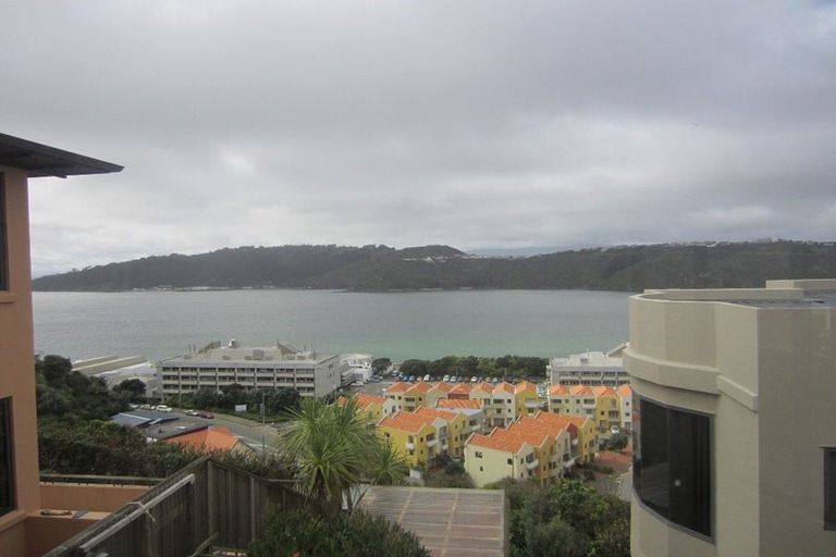 Photo of property in 17 Treasure Grove, Hataitai, Wellington, 6021