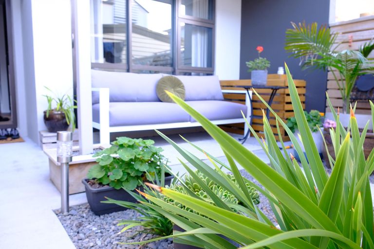 Photo of property in 25 Settlers Avenue, Hobsonville, Auckland, 0618