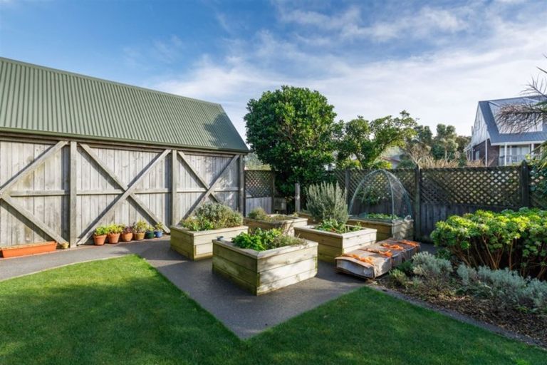 Photo of property in 10 Virginia Grove, Brooklyn, Wellington, 6021