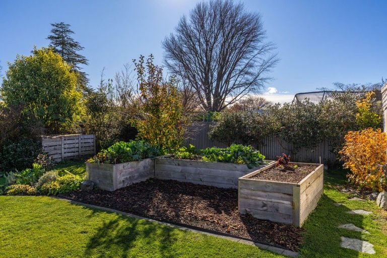 Photo of property in 66 Dillon Street, Blenheim, 7201