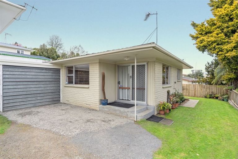 Photo of property in 29a Alison Street, Hamilton Lake, Hamilton, 3204
