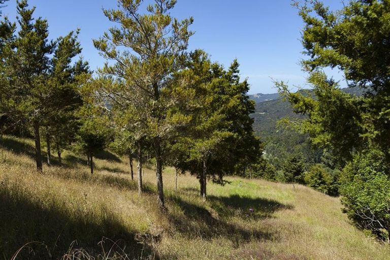 Photo of property in 49a Mangamanihi Road, Kaeo, 0479