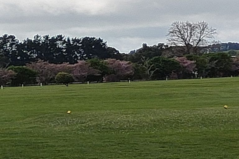 Photo of property in 529 Kane Street, Pirongia, 3802