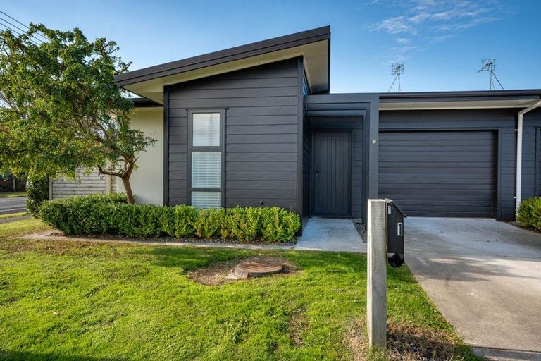 Photo of property in 1/1 Murray Street, Maeroa, Hamilton, 3200