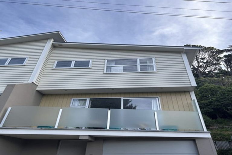 Photo of property in 1b Anderson Terrace, Mount Cook, Wellington, 6021