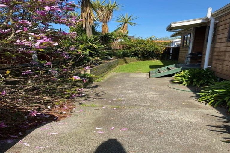 Photo of property in 155 Grey Street, Hamilton East, Hamilton, 3216