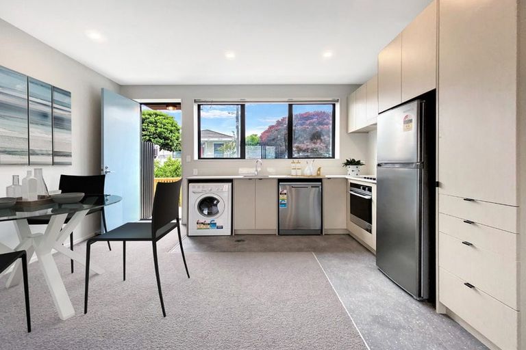 Photo of property in Aniva Terrace, 32 Ferguson Street, Newtown, Wellington, 6021