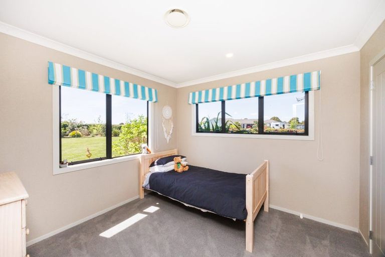 Photo of property in 93 Mount Taylor Drive, Feilding, 4775