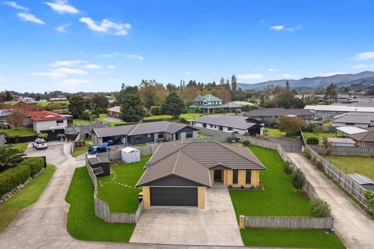 Photo of property in 37 Ritchie Street, Te Aroha, 3320