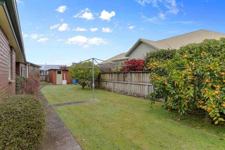 Photo of property in 8 Hinau Place, Matamata, 3400