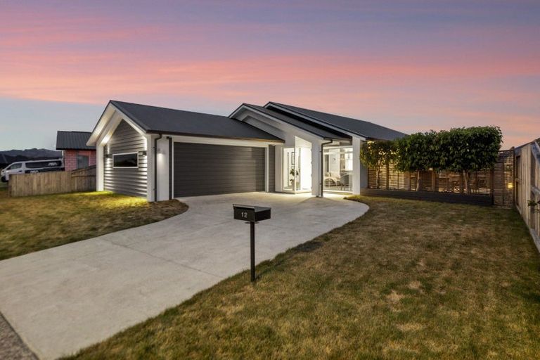 Photo of property in 12 Kahuparere Crescent, Pyes Pa, Tauranga, 3112