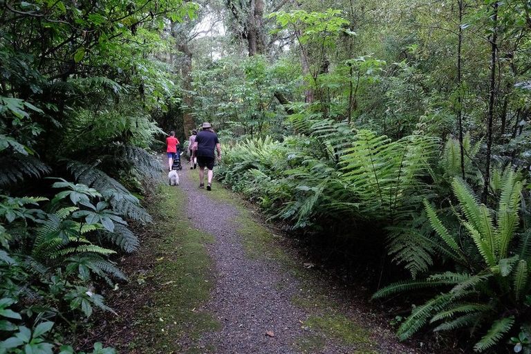 Photo of property in 4 Erskine Street, Tuatapere, 9620
