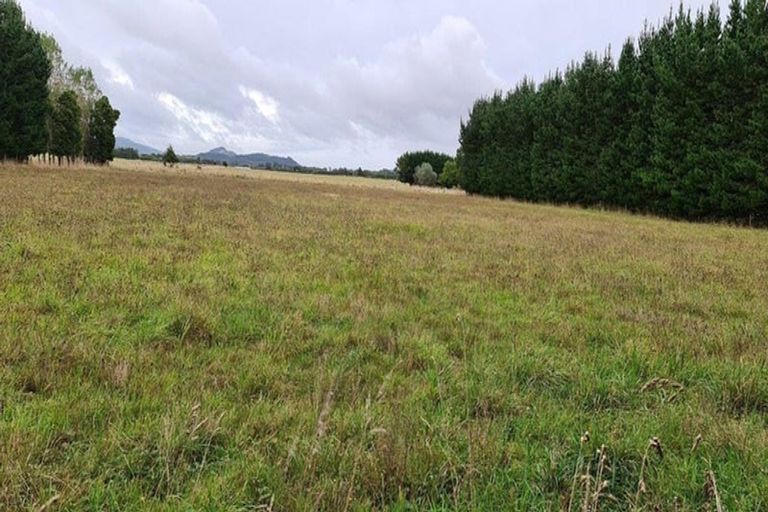Photo of property in 131 Arapaepae Road South, Levin, 5571