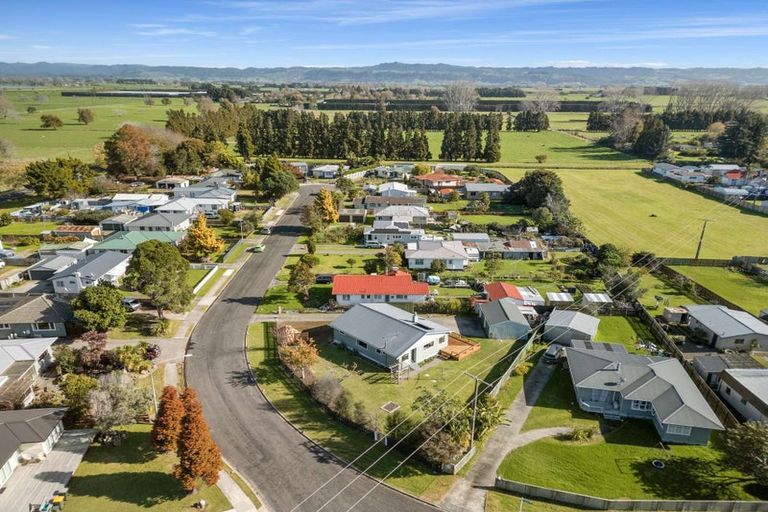 Photo of property in 9 Rimu Street, Edgecumbe, 3120