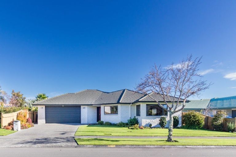 Photo of property in 19 Palmbrook Avenue, Havelock North, 4130