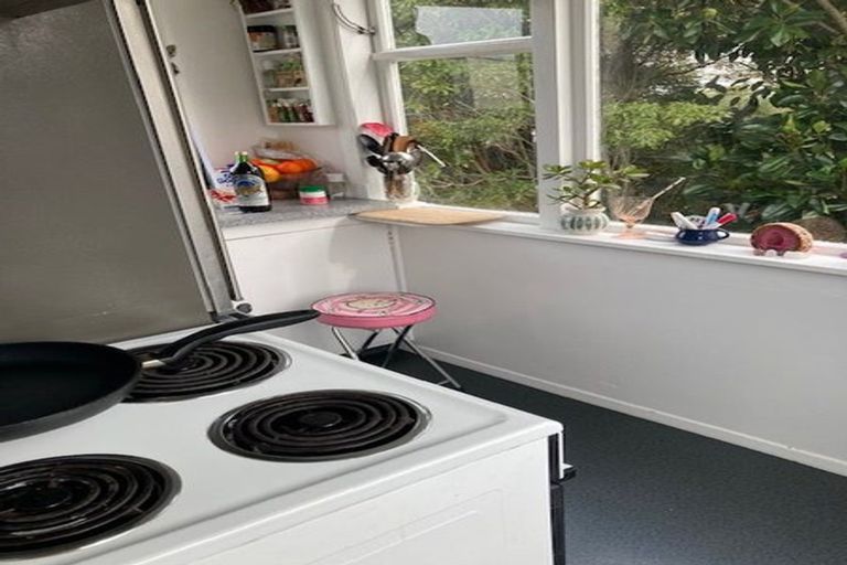 Photo of property in 144 Tasman Street, Mount Cook, Wellington, 6021