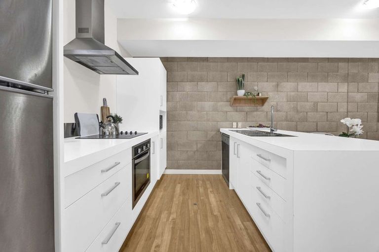 Photo of property in 3uj Papawai Terrace, Mount Cook, Wellington, 6021