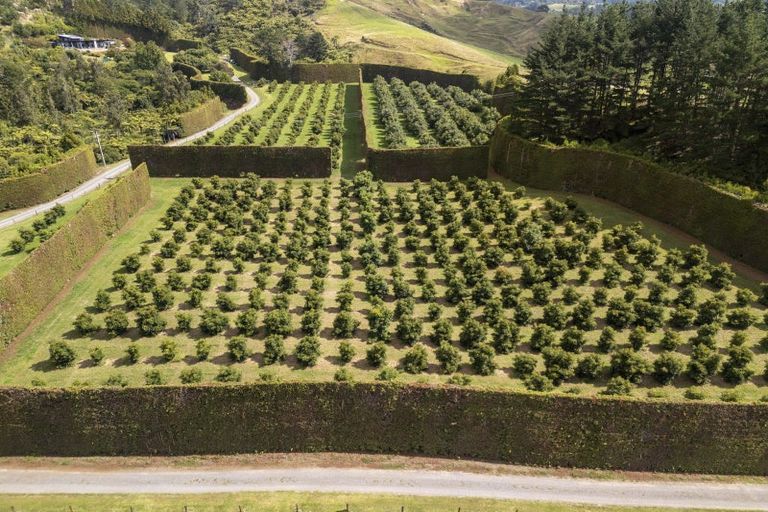 Photo of property in 83 I'anson Road, Minden, Tauranga, 3179