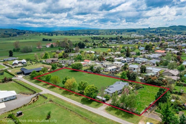 Photo of property in 17 Rose Street, Waipukurau, 4200
