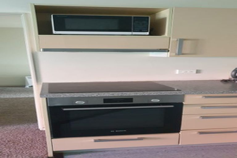 Photo of property in Dual Apartments, 110/142 Vivian Street, Te Aro, Wellington, 6011