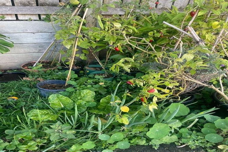 Photo of property in 23 Nairn Street, Mount Cook, Wellington, 6011