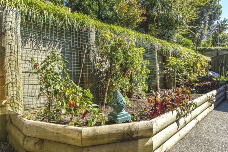 Photo of property in 39 Highgrove Place, Bethlehem, Tauranga, 3110