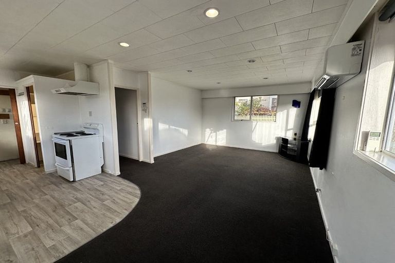 Photo of property in 224 Nixon Street, Hamilton East, Hamilton, 3216