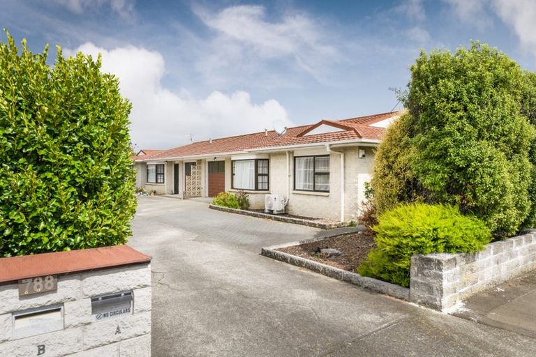 Photo of property in 788a Main Street, Roslyn, Palmerston North, 4414