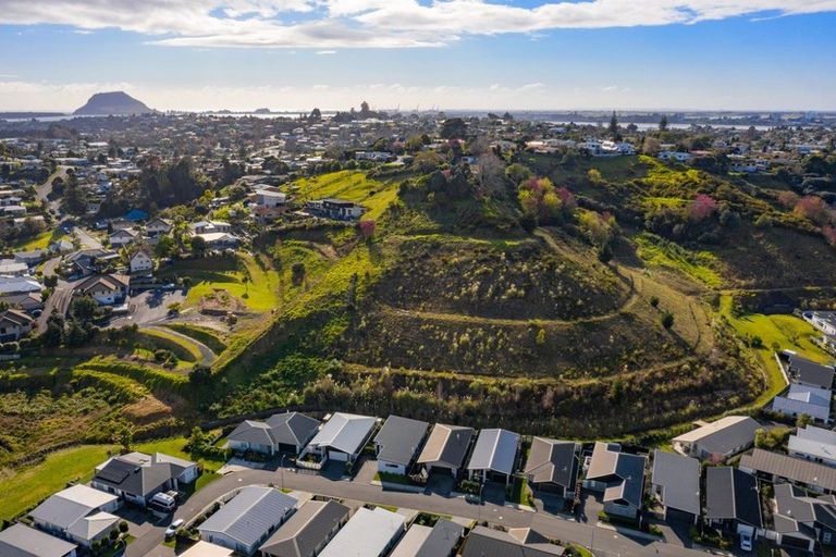 Photo of property in 44 Saint Pauls Drive, Brookfield, Tauranga, 3110