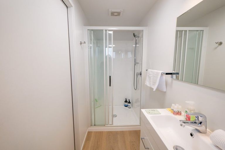 Photo of property in 241 Castle Street, Dunedin Central, Dunedin, 9016