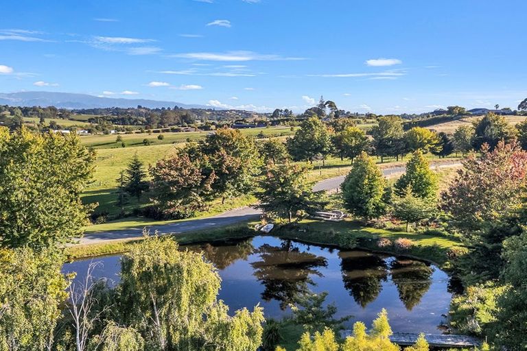 Photo of property in Abbott Street, Waipawa, 4210