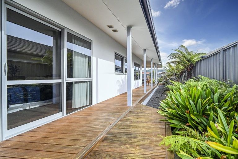 Photo of property in 230 Avondale Road, Greenmeadows, Napier, 4112