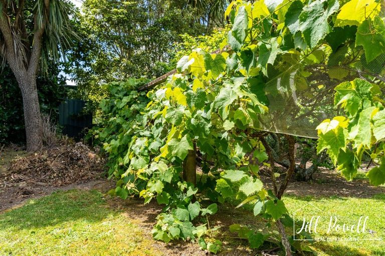 Photo of property in 93c Jumna Road, Maungaturoto, 0587