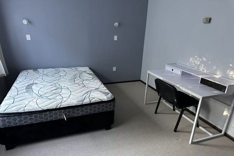 Photo of property in 100 London Street, Dunedin Central, Dunedin, 9016