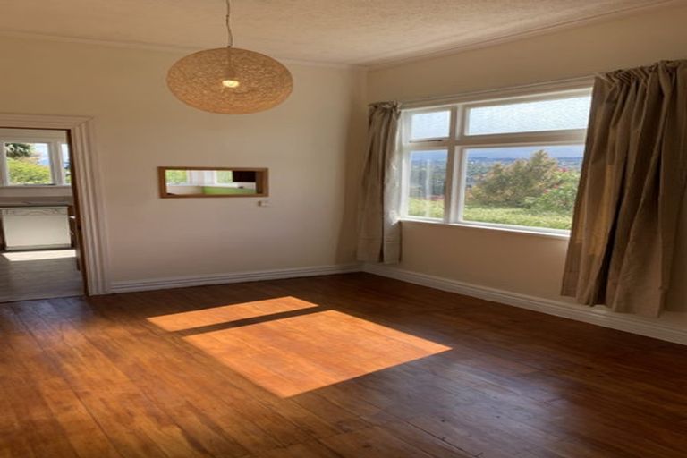 Photo of property in 14 Windsor Street, Opoho, Dunedin, 9010