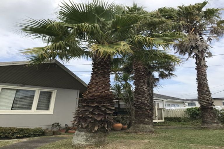 Photo of property in 11 Roberts Road, Te Atatu South, Auckland, 0610