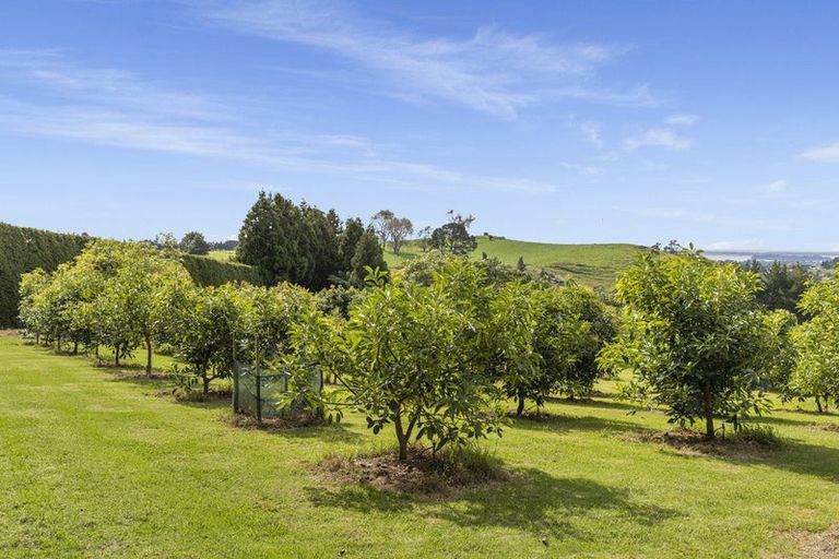 Photo of property in 51 Sinclair Road, Whakamarama, Tauranga, 3179