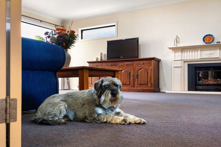 Photo of property in 145 Oceanview Road, Mount Maunganui, 3116