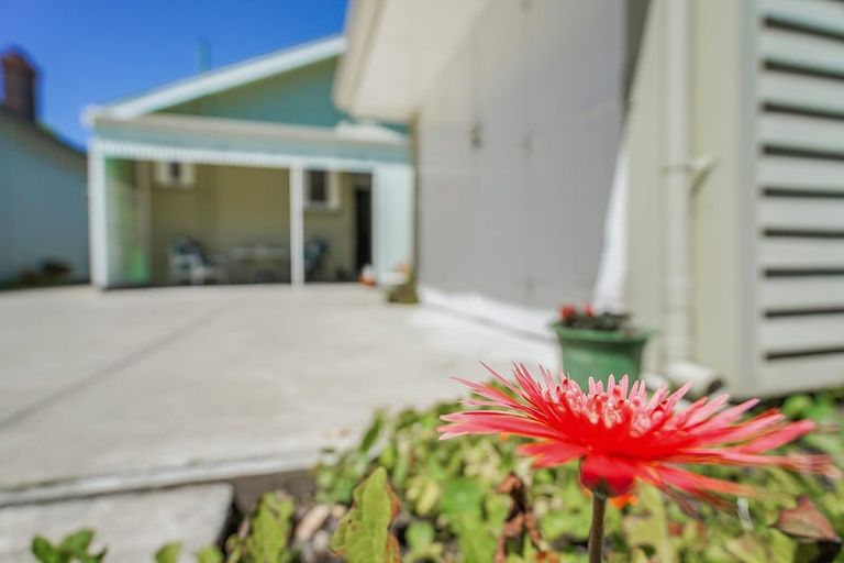 Photo of property in 61 Cook Street, Hamilton East, Hamilton, 3216