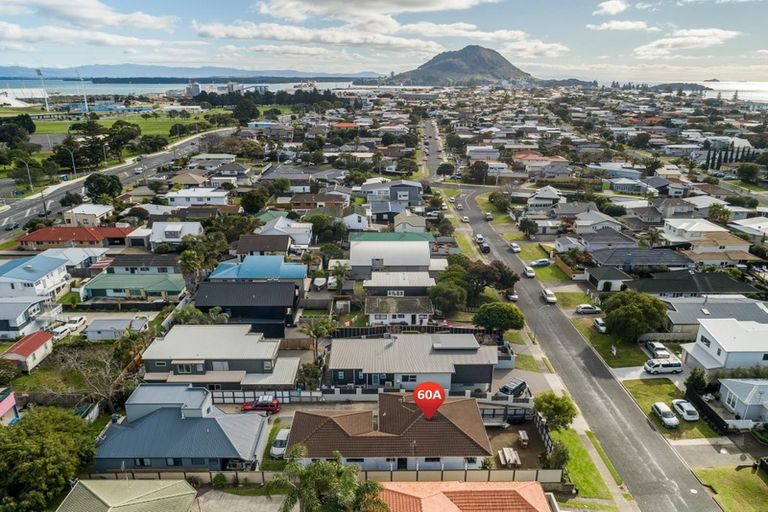 Photo of property in 60a Campbell Road, Mount Maunganui, 3116